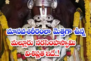 Hemachala Narasimha Swamy temple