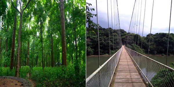 Conolly's Plot Ecotourism Centre