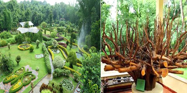 Teak Museum & Bio-resources Nature Park