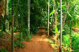 Mollem National Park