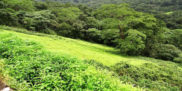 Mollem National Park Timings