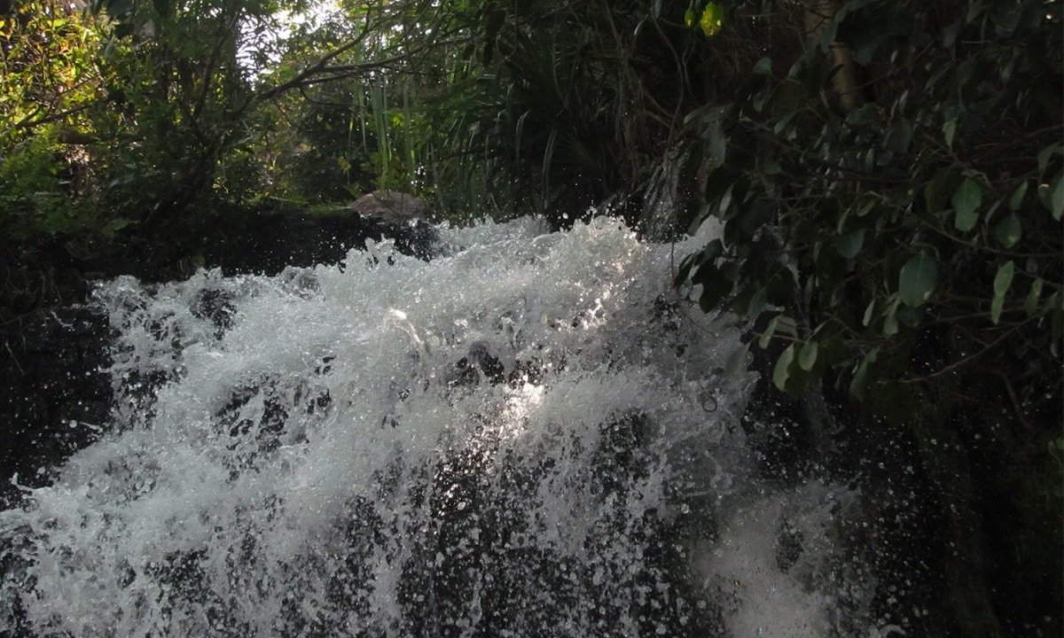 Papanasam Waterfalls