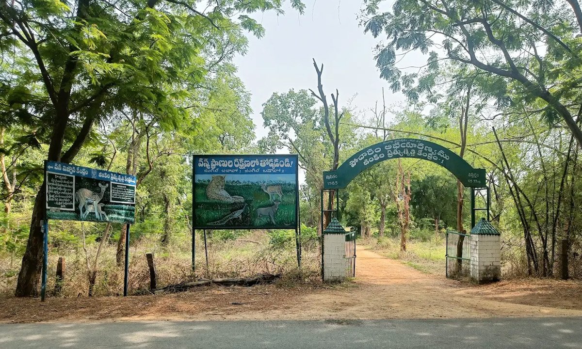 Pocharam Wildlife Sanctuary Timings