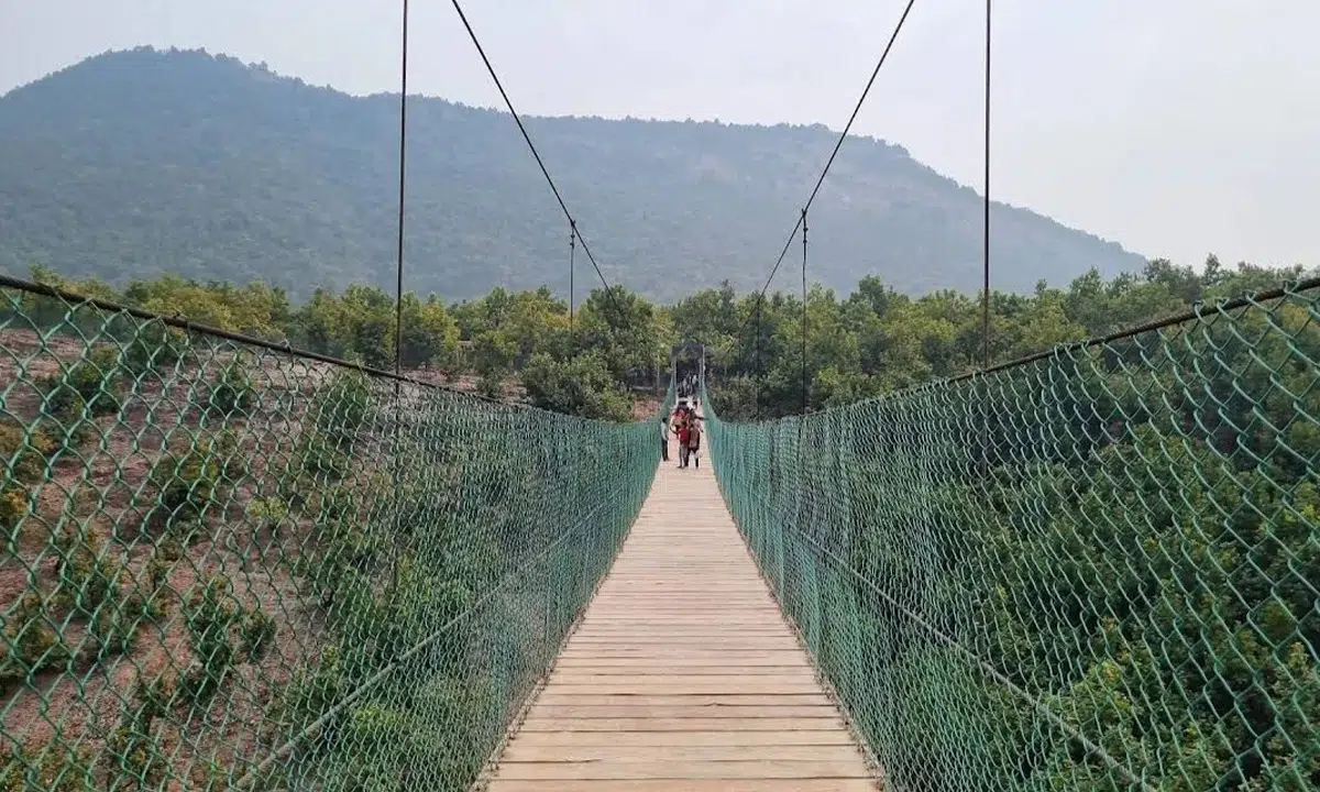 Rajgir Glass Bridge Timings