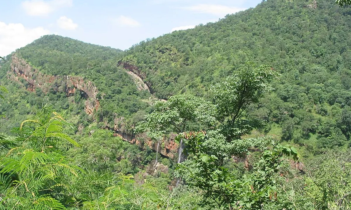 Nallamala Hills Timings