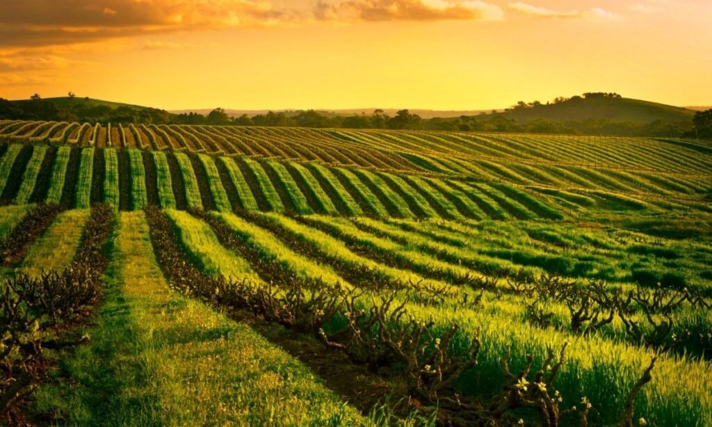 Brandywine Valley